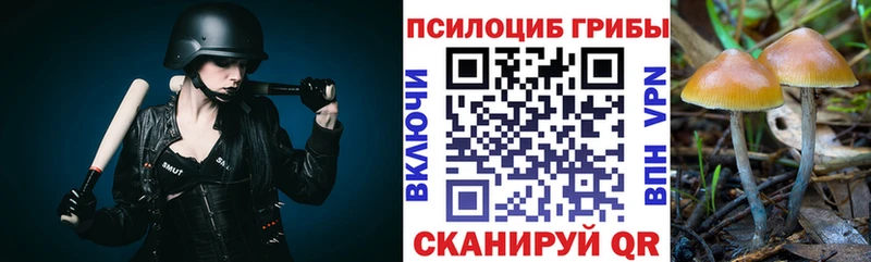 Псилоцибиновые грибы Magic Shrooms  Купить  Плавск 